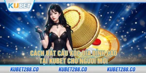 Cách Bắt Cầu Xóc Đĩa